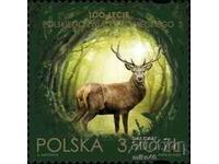 POLAND 2023 Hunting clean streak