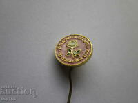 ЗНАЧКА ФАРМАХИМ  !!!