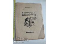 Munca salariată în cântecele populare Angel Georgiev