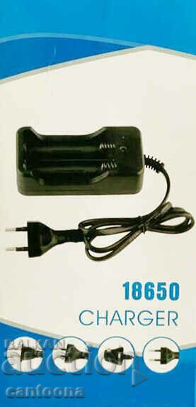 Delivery of Dual charger for Li Ion batteries 18650 - 3.7 V Delivery of Dual charger for Li Ion batteries 18650 - 3.7 V