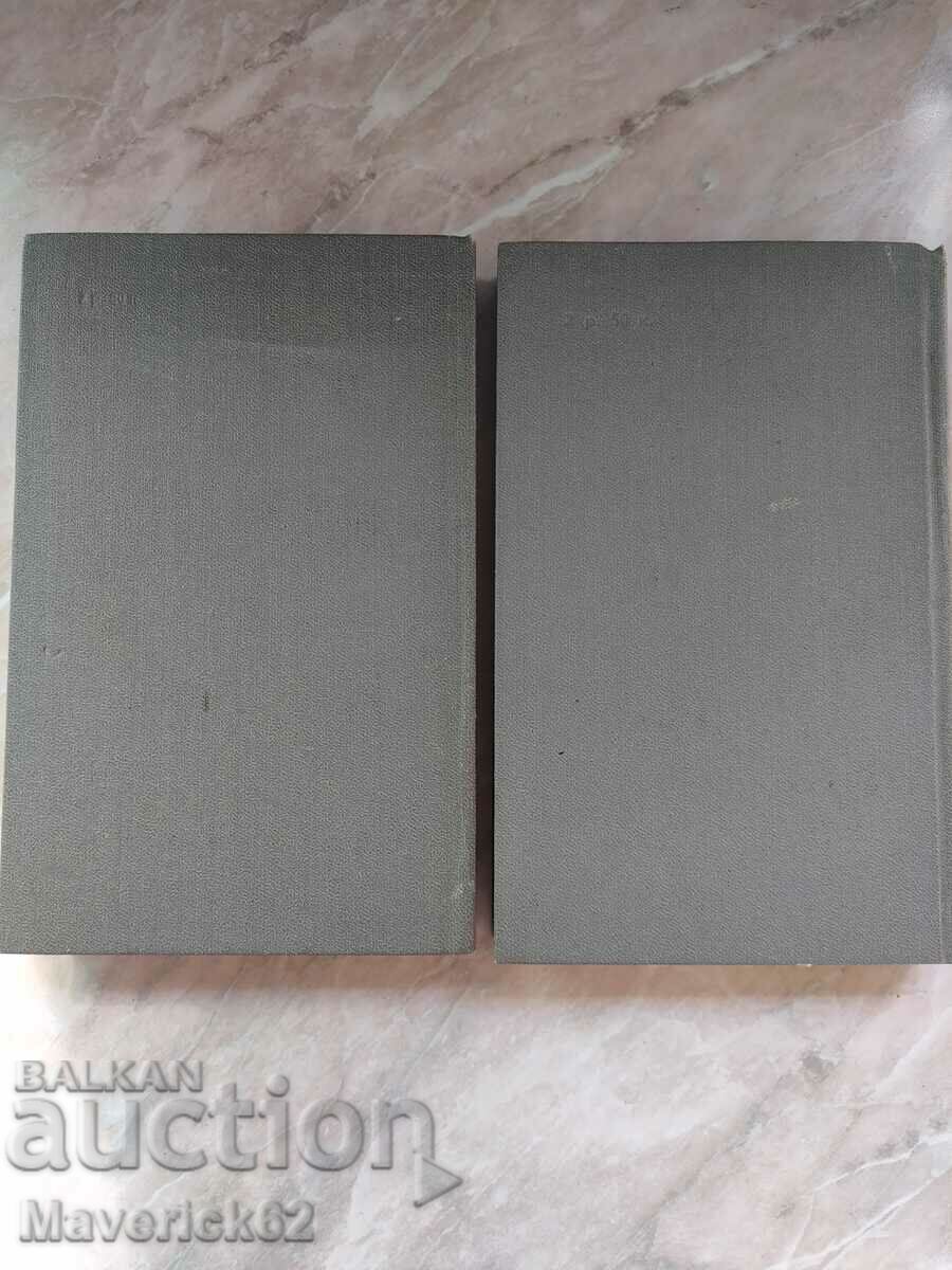 Stepan Razin 1st and 2nd part Russian language - 6