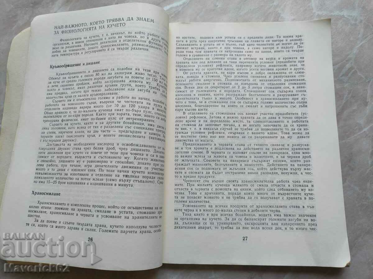 Do you love your dog? with price 5.00 BGN | € 2.56 Do you love your dog? with price 5.00 BGN | € 2.56