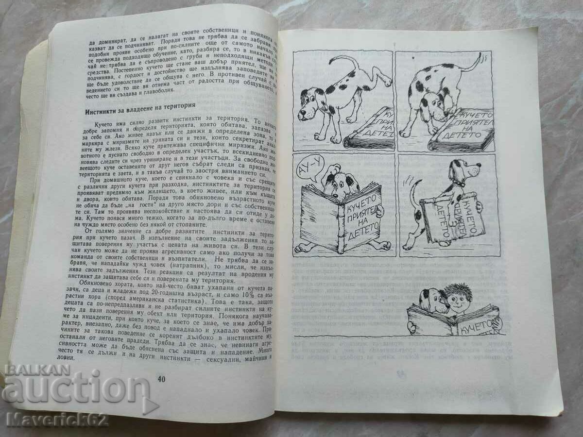 Auction Do you love your dog? Auction Do you love your dog?