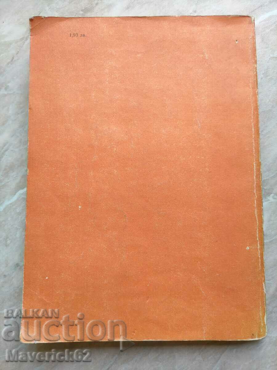 Do you love your dog? - 6 Do you love your dog? - 6