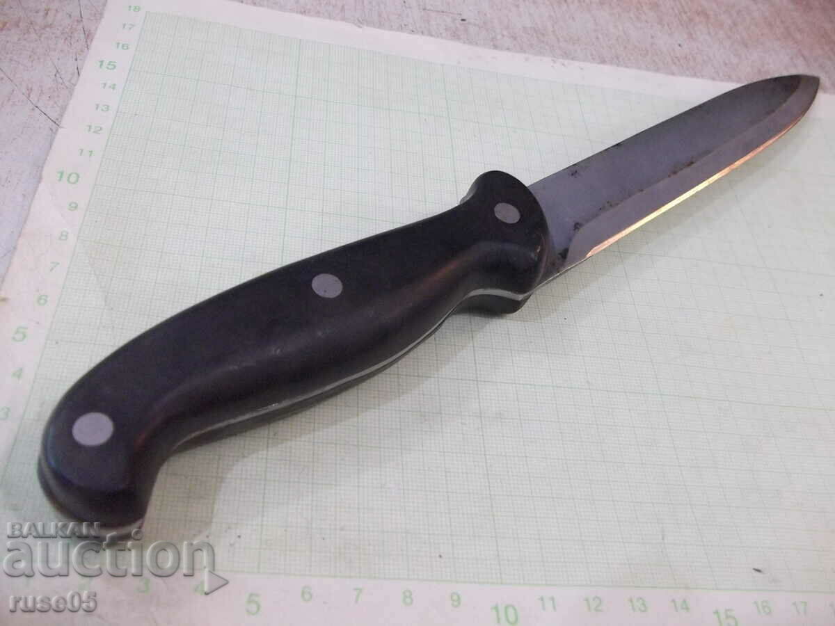 Knife "ROSTFREI" large - 6 Knife "ROSTFREI" large - 6