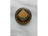 Значка - ДФС Химик Видин