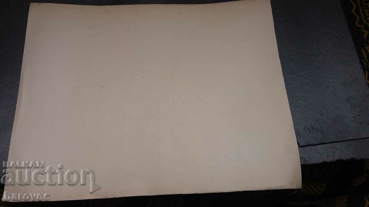 Delivery of Caricature 65 / 51 cm