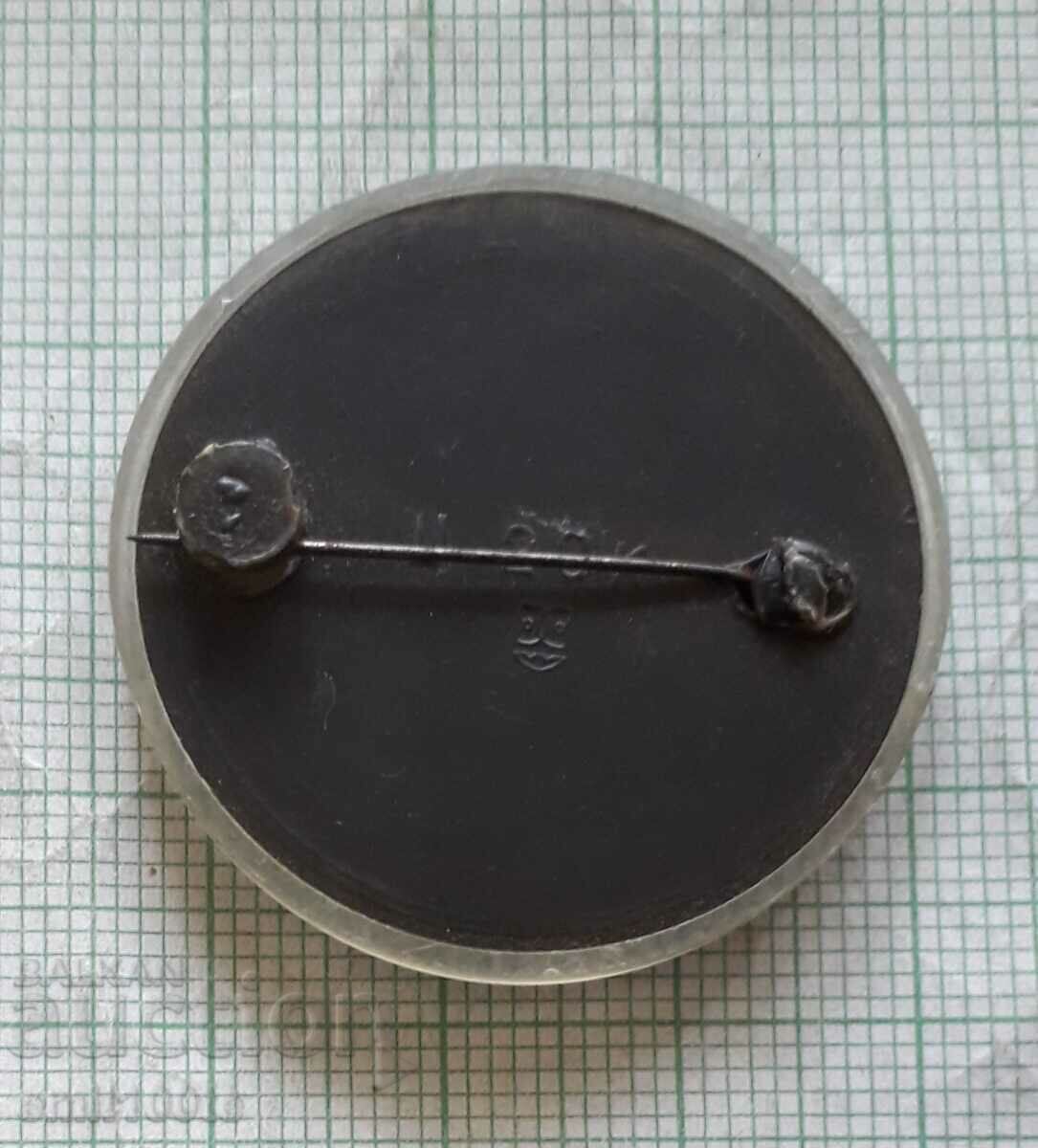 Delivery of Badge - Bryansk USSR Airmen's Monument Delivery of Badge - Bryansk USSR Airmen's Monument