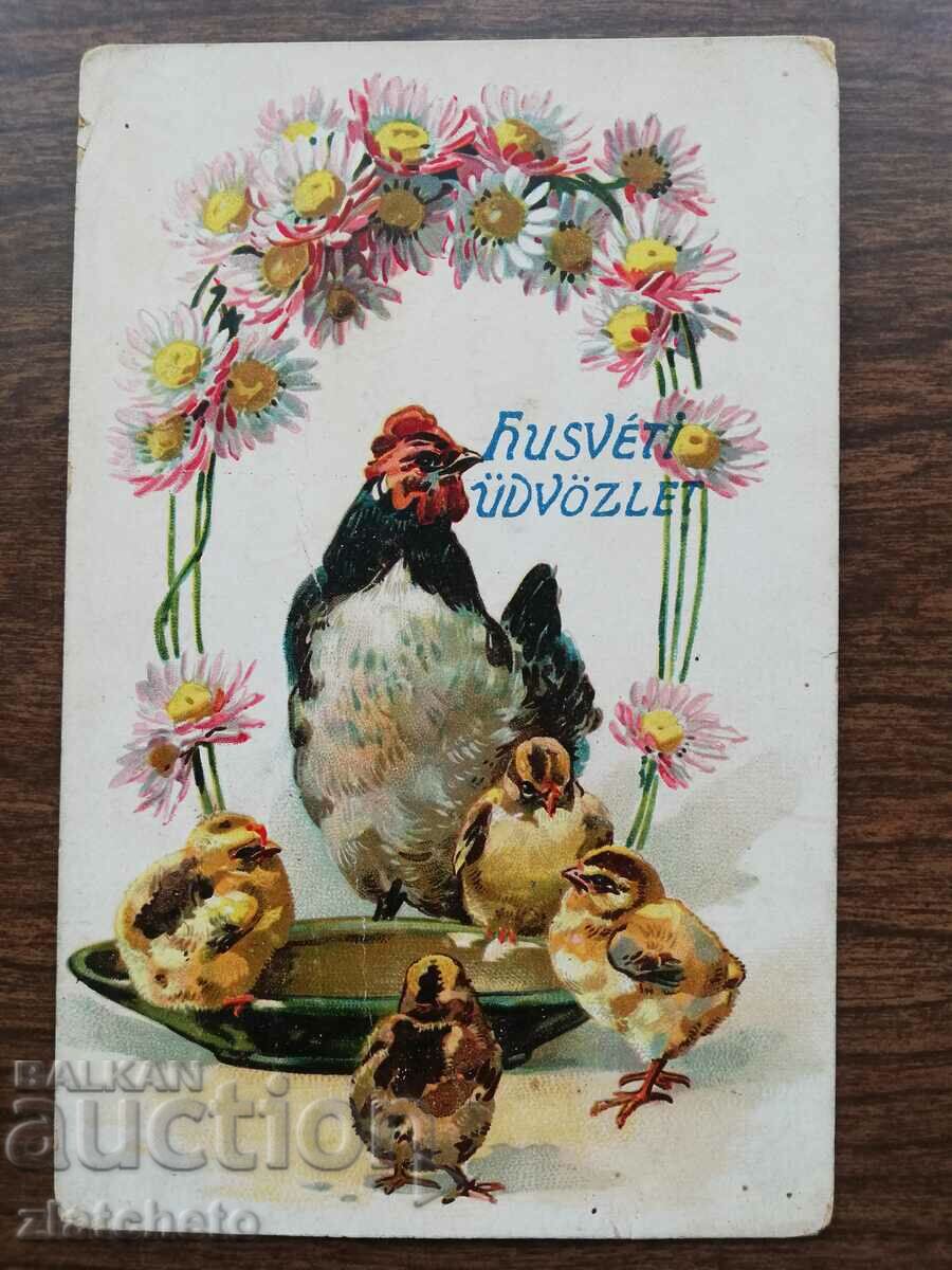 Auction  Postcard Kingdom of Bulgaria - PSV