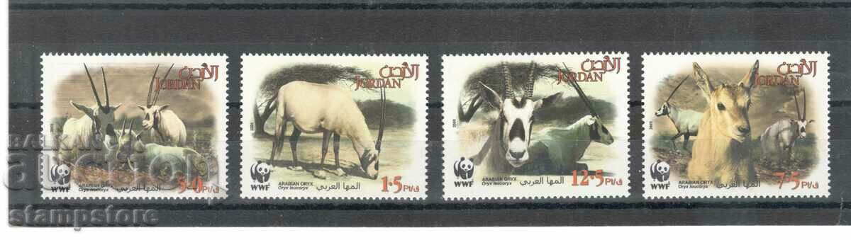 Iordania - WWF - Antilope albă - Oryx