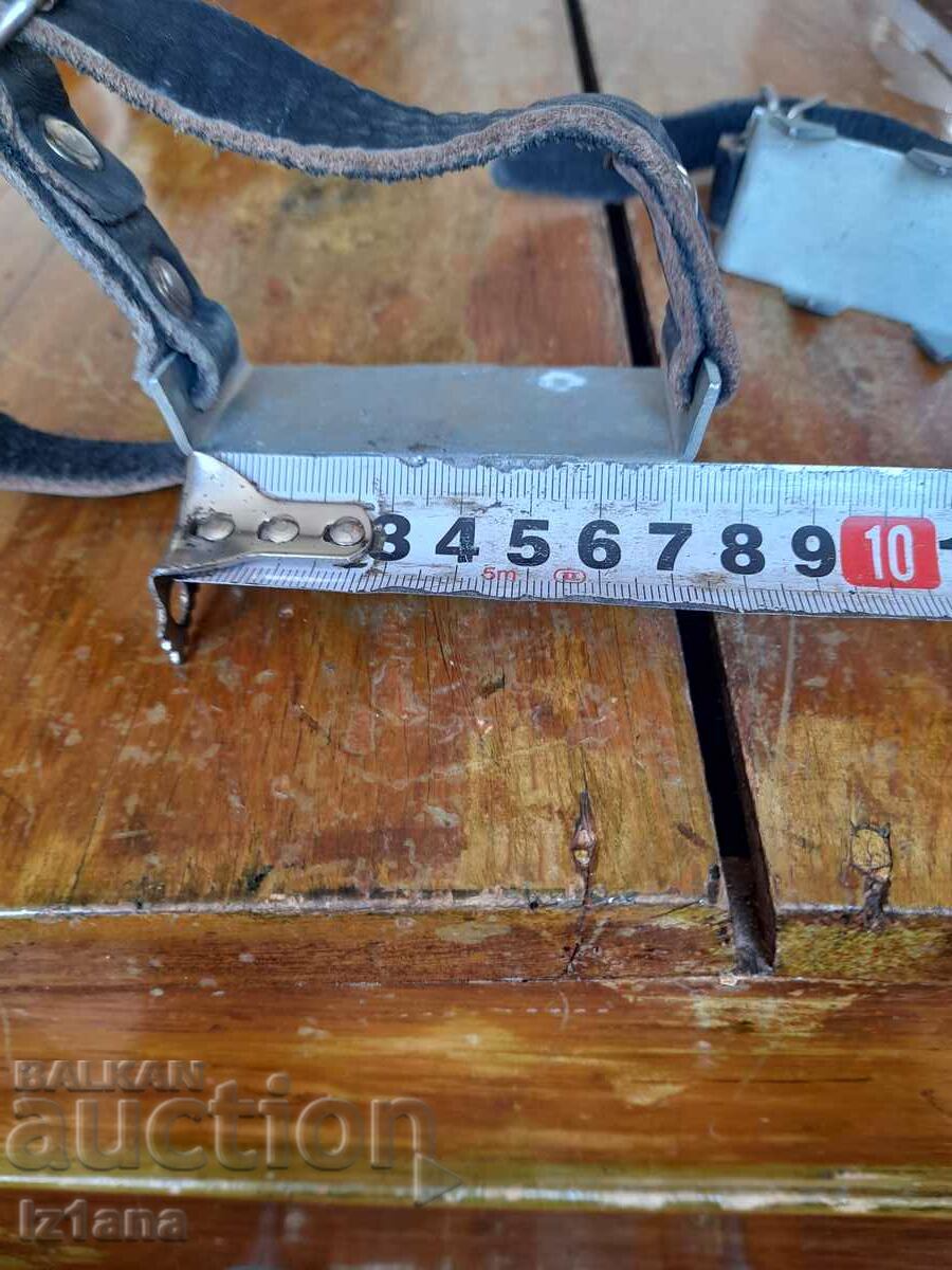 Auction Old cats Auction Old cats