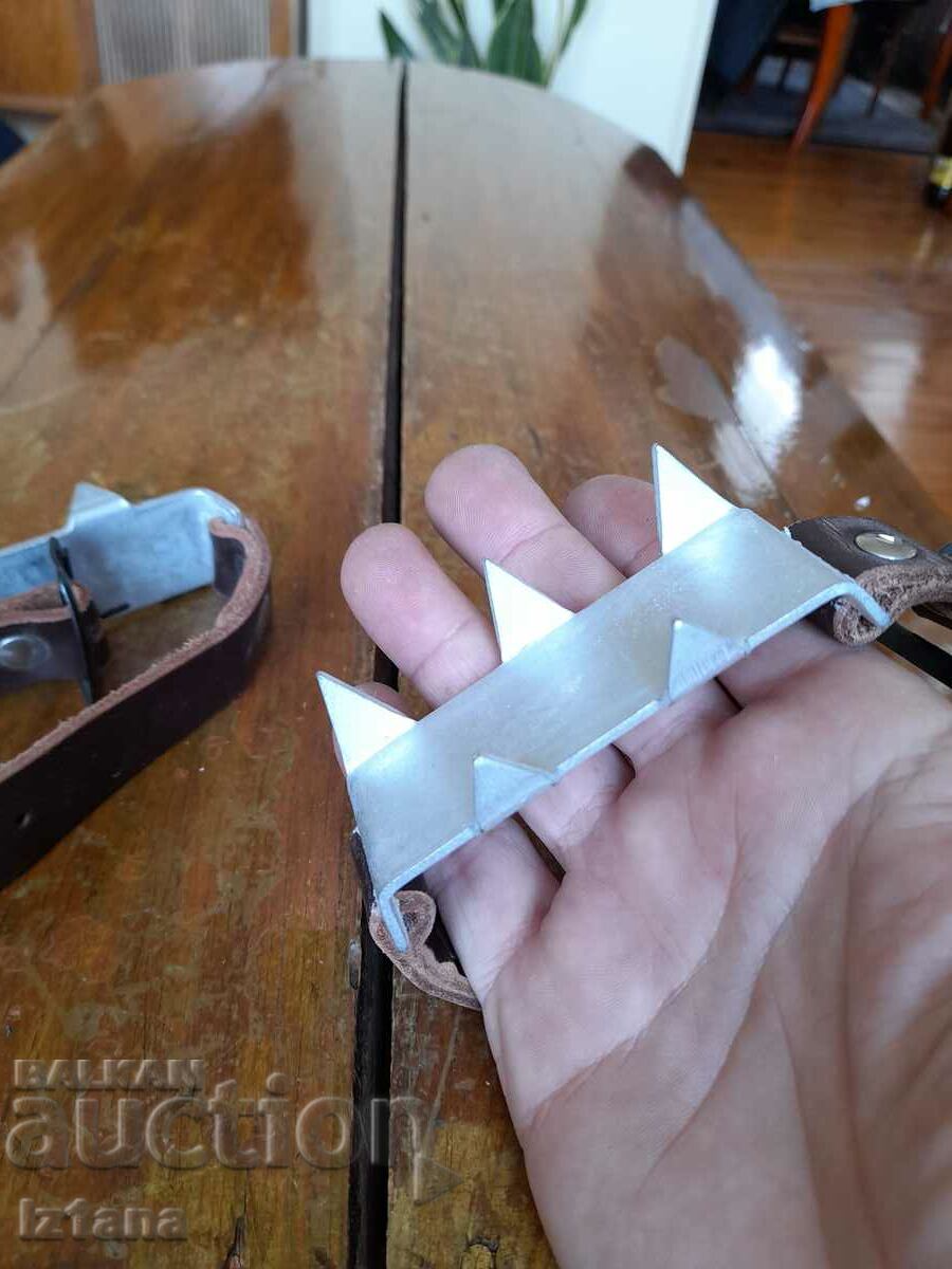 Auction Old cats Auction Old cats