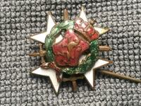 Miniature Enamel Cross of Gallantry