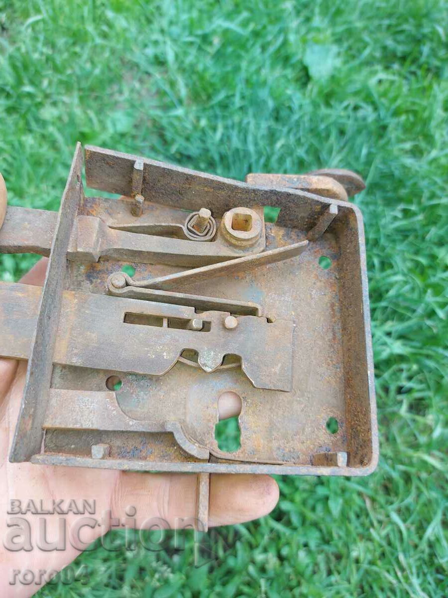 STAR HORSES BRAVA - 6 STAR HORSES BRAVA - 6