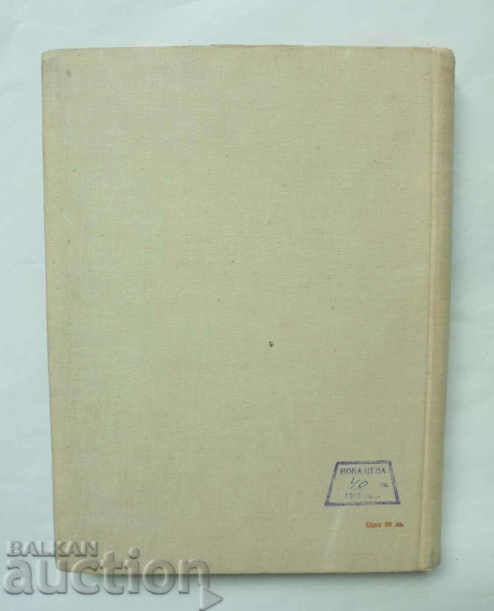 Bulgarian doors and gates - Nikolay Popov 1954 - 7