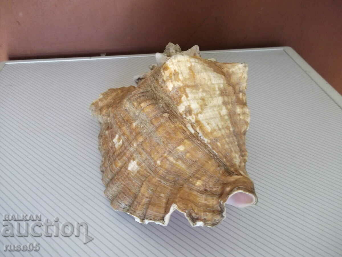 Delivery of Sink - 26 Delivery of Sink - 26