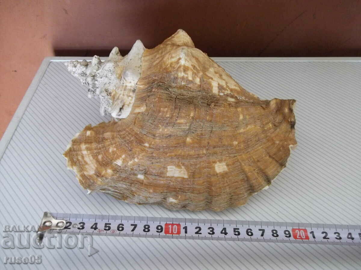 Sink - 26 - 5 Sink - 26 - 5