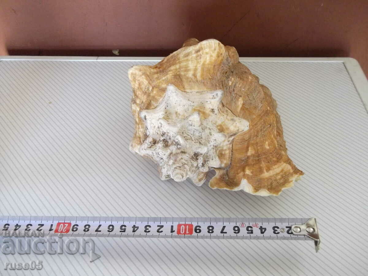 Sink - 26 - 6 Sink - 26 - 6