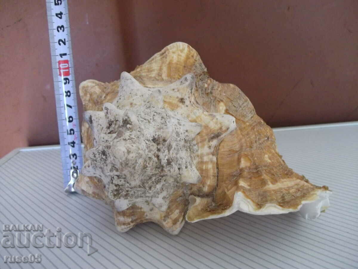 Sink - 26 - 7 Sink - 26 - 7