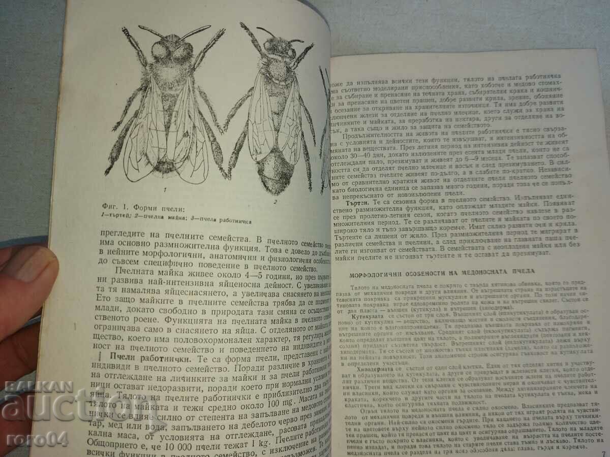 Delivery of BEEKEEPING - TODOR SIMIDCHIEV Delivery of BEEKEEPING - TODOR SIMIDCHIEV