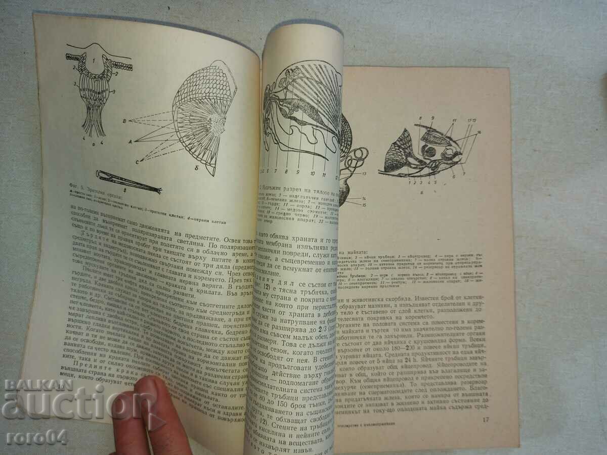 BEEKEEPING - TODOR SIMIDCHIEV - 5 BEEKEEPING - TODOR SIMIDCHIEV - 5