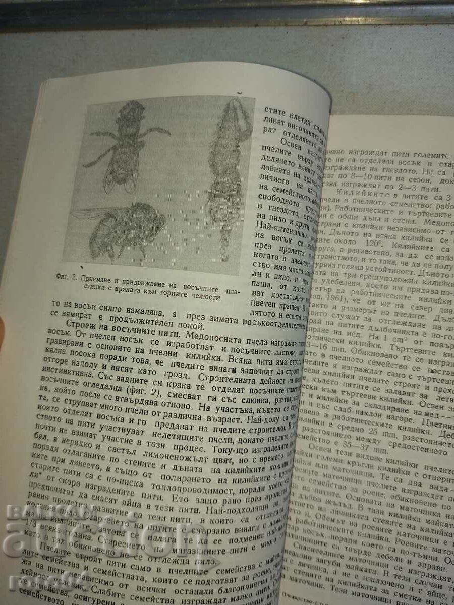 APICULTURA - TODOR SIMIDCHIEV - 5