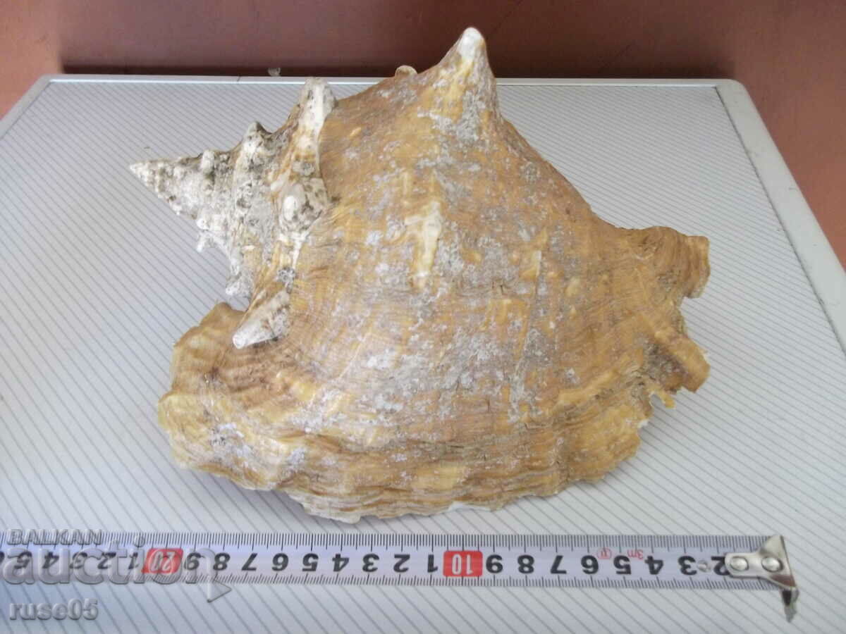 Παράδοση Νεροχύτης - 27 Παράδοση Νεροχύτης - 27