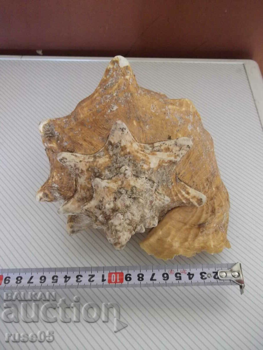 Νεροχύτης - 27 - 5 Νεροχύτης - 27 - 5