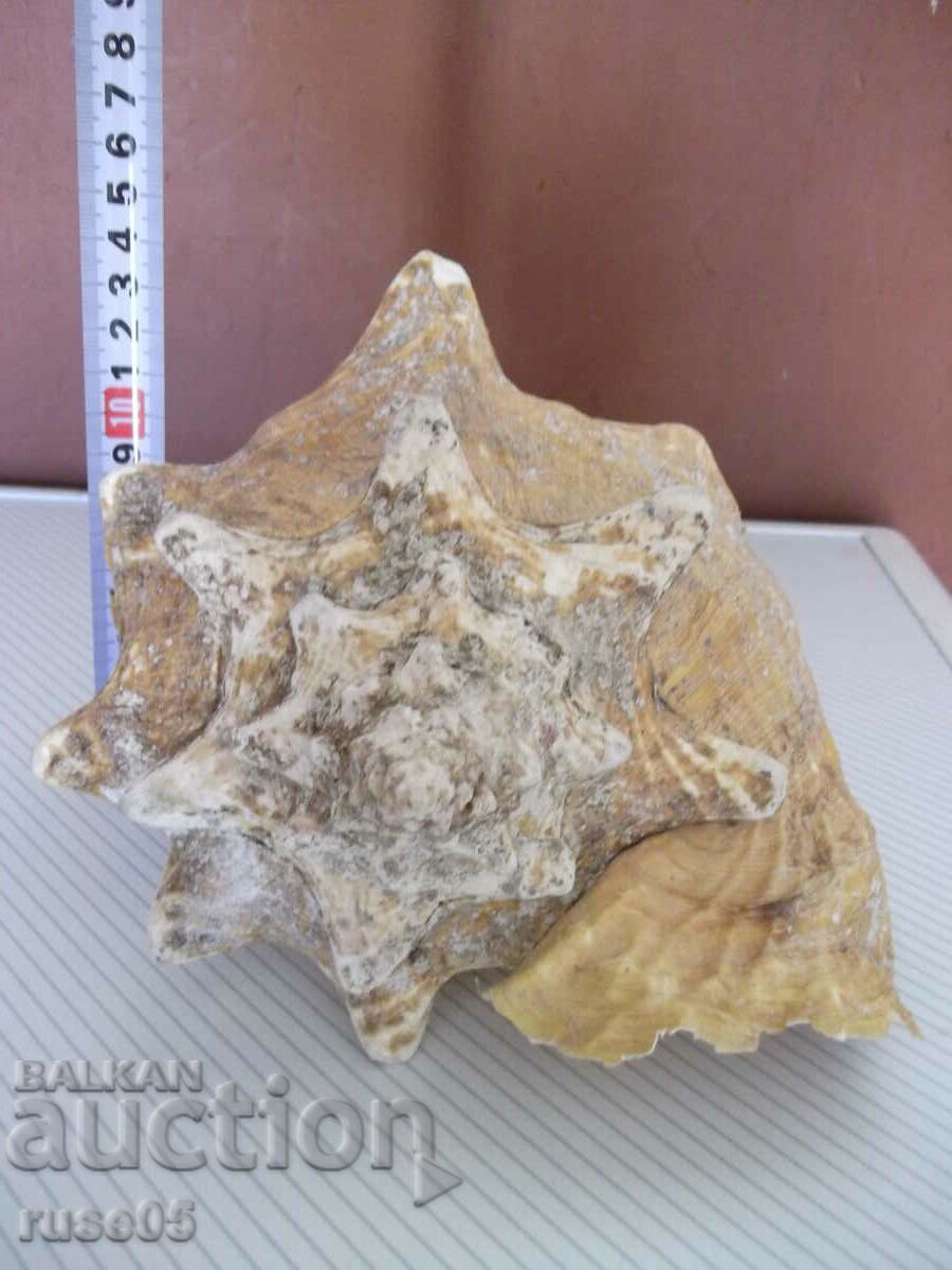 Νεροχύτης - 27 - 6 Νεροχύτης - 27 - 6