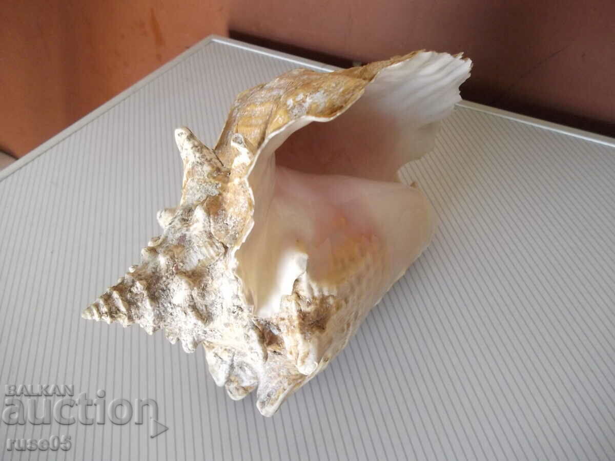 Νεροχύτης - 27 - 7 Νεροχύτης - 27 - 7