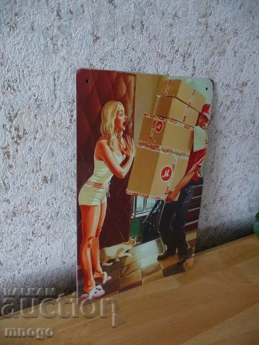 Metal plate courier shipments Econt Speedy shipment couriers with price 22.00 BGN | € 11.25