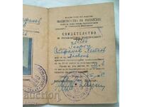 Certificat de contabilitate, 1950