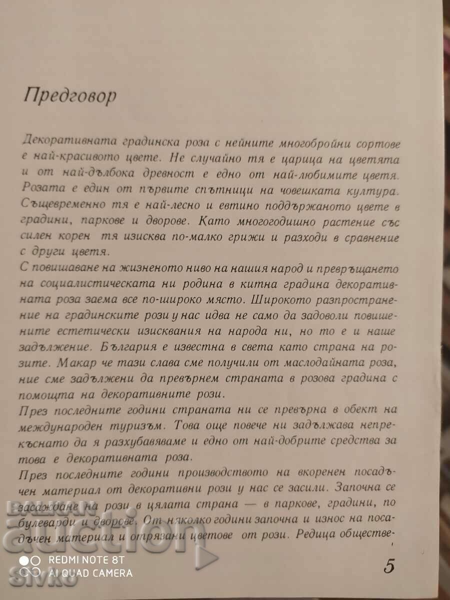 Decorative roses - 7