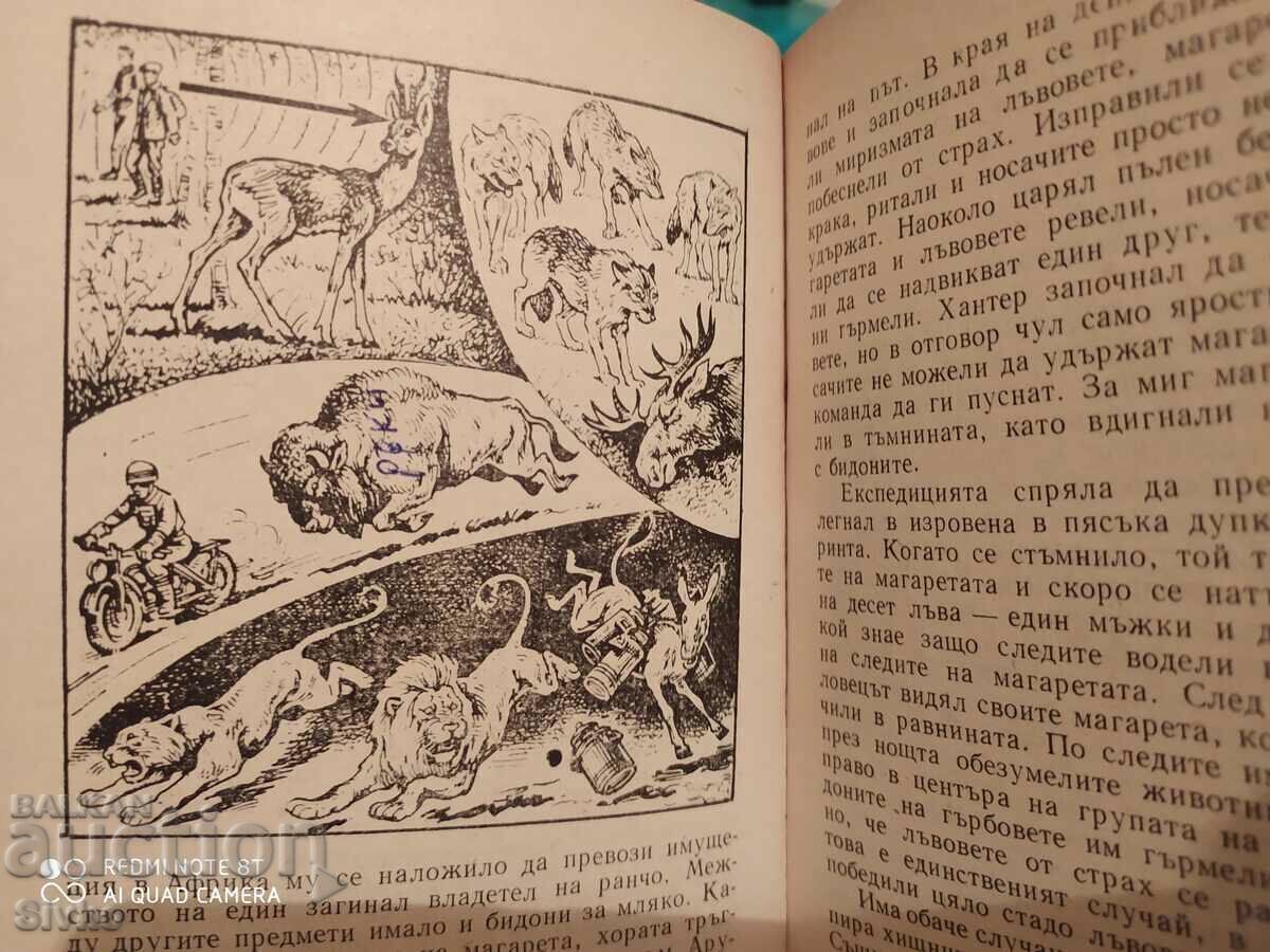 Животни нащрек - Сетивни органи и поведение на животните с цена € 0.01 | 0.02 лв.