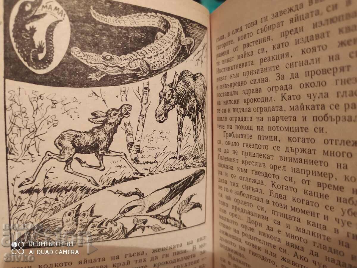 Auction  Animals on alert - Sense organs and animal behavior