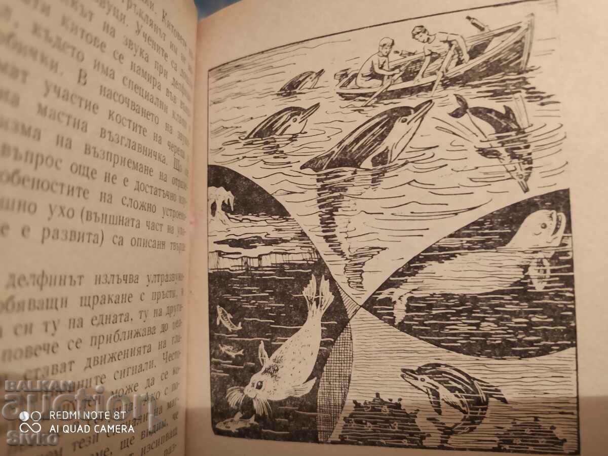 Delivery of Animals on alert - Sense organs and animal behavior