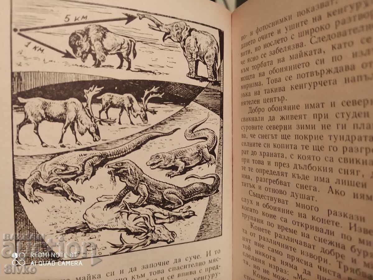 Animals on alert - Sense organs and animal behavior - 5