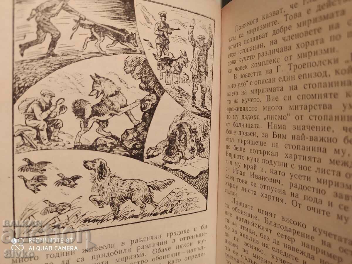 Животни нащрек - Сетивни органи и поведение на животните - 6