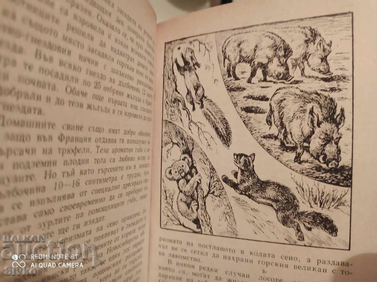 Animals on alert - Sense organs and animal behavior - 7