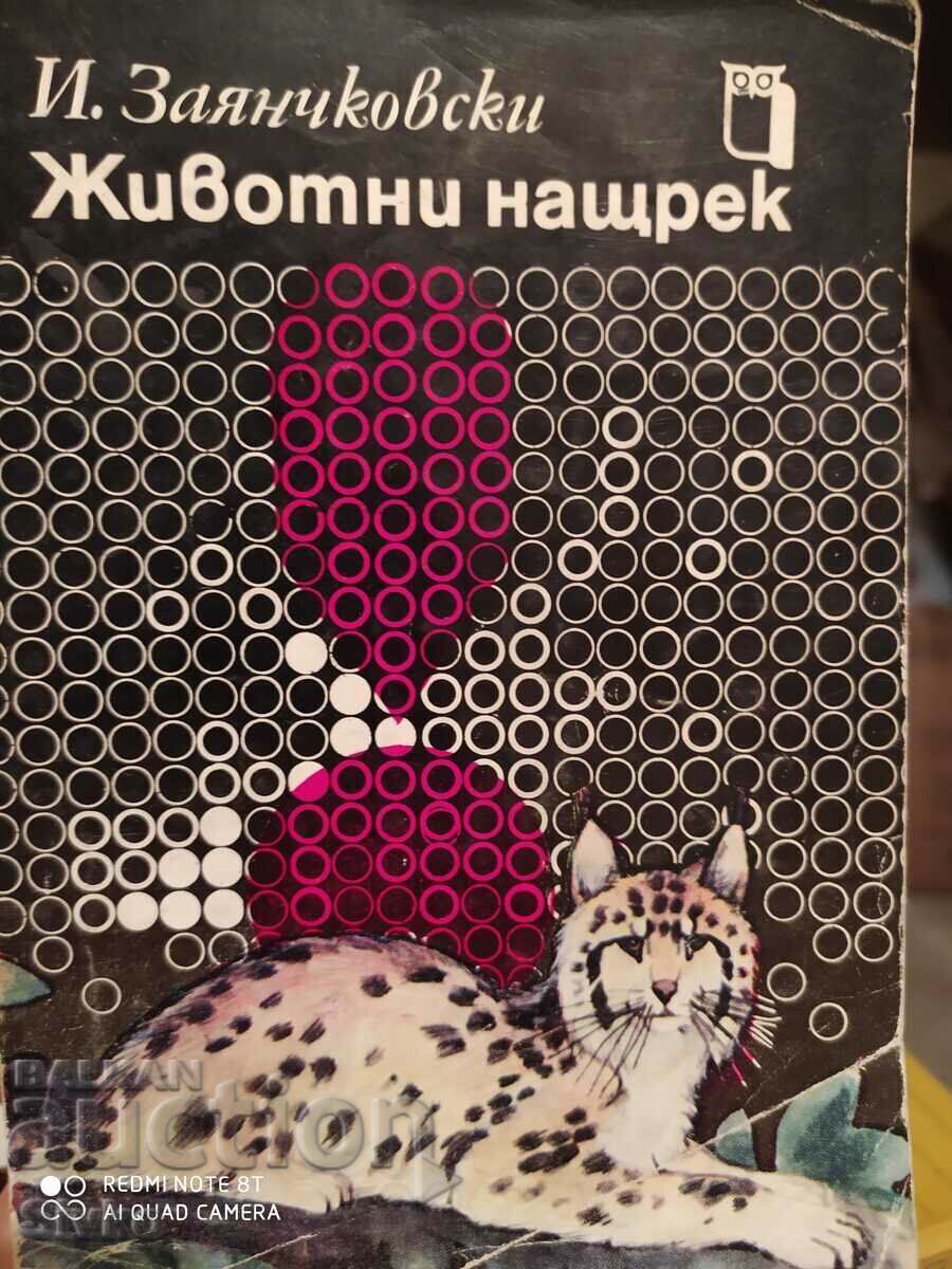 Животни нащрек - Сетивни органи и поведение на животните