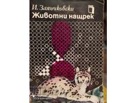 Ζώα σε εγρήγορση - Όργανα αίσθησης και συμπεριφορά των ζώων