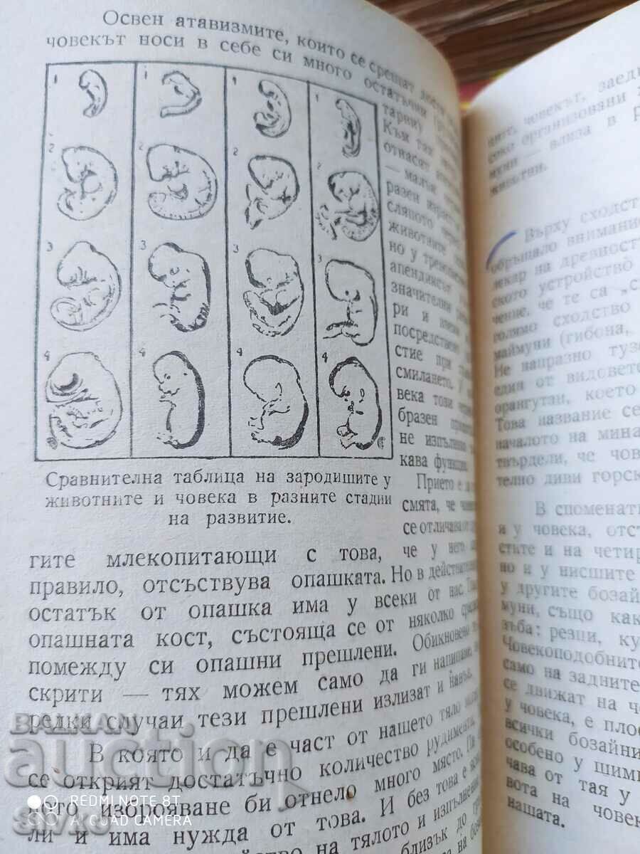 On the Origin of Man with price 2.99 BGN | € 1.53