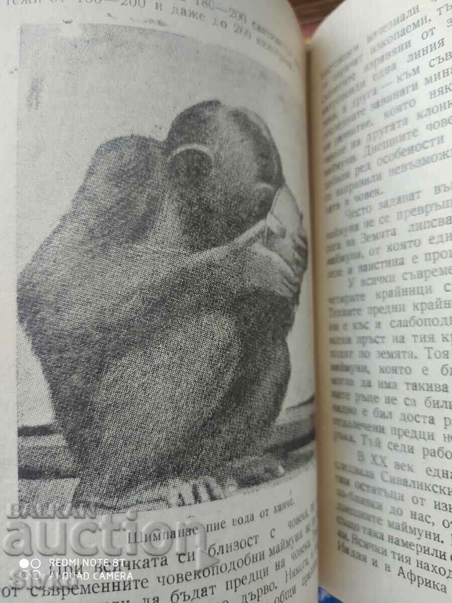 Auction  On the Origin of Man