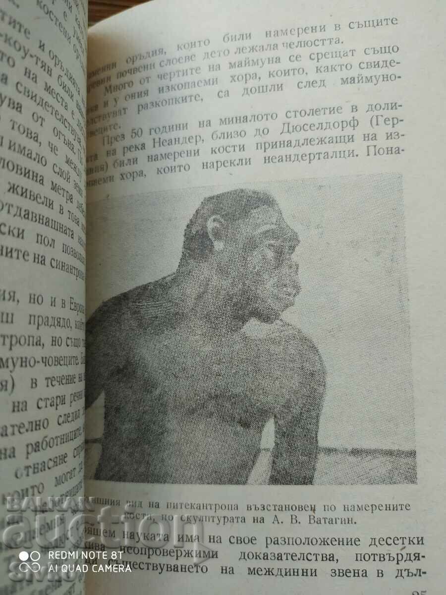 On the Origin of Man - 5