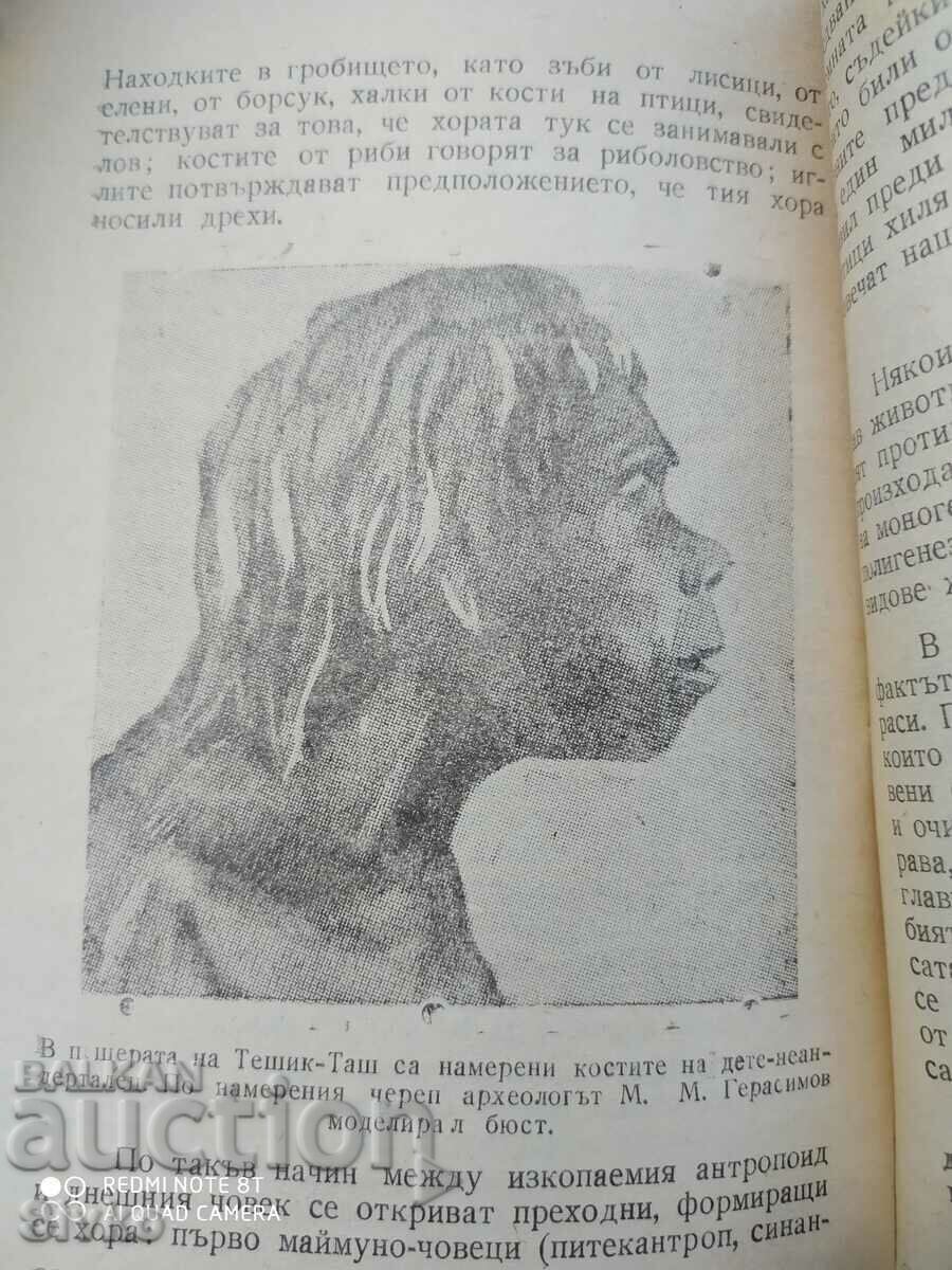 On the Origin of Man - 6