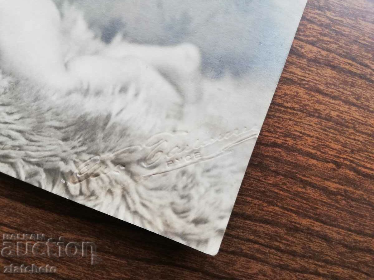 Old photo Kingdom of Bulgaria - photo Ruse with price 10.00 BGN | € 5.11 Old photo Kingdom of Bulgaria - photo Ruse with price 10.00 BGN | € 5.11