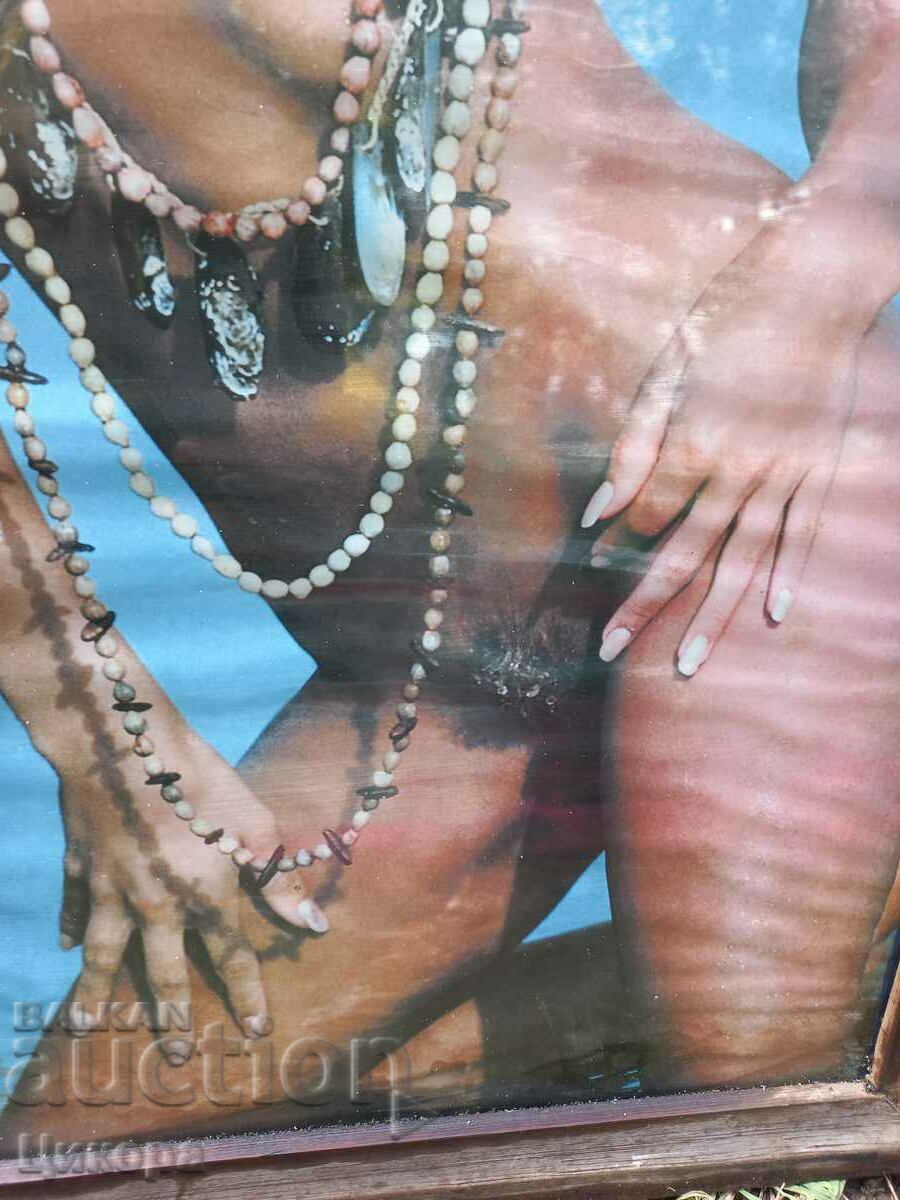 Auction  PAMELA ANDERSEN PHOTO PICTURE POSTER EROTIC