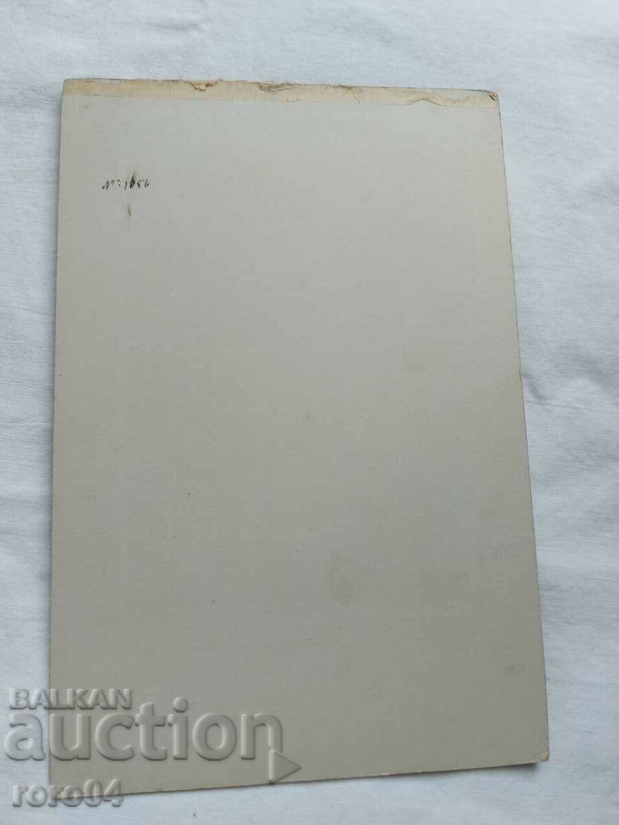 Delivery of STAR PHOTOGRAPHY - CARD