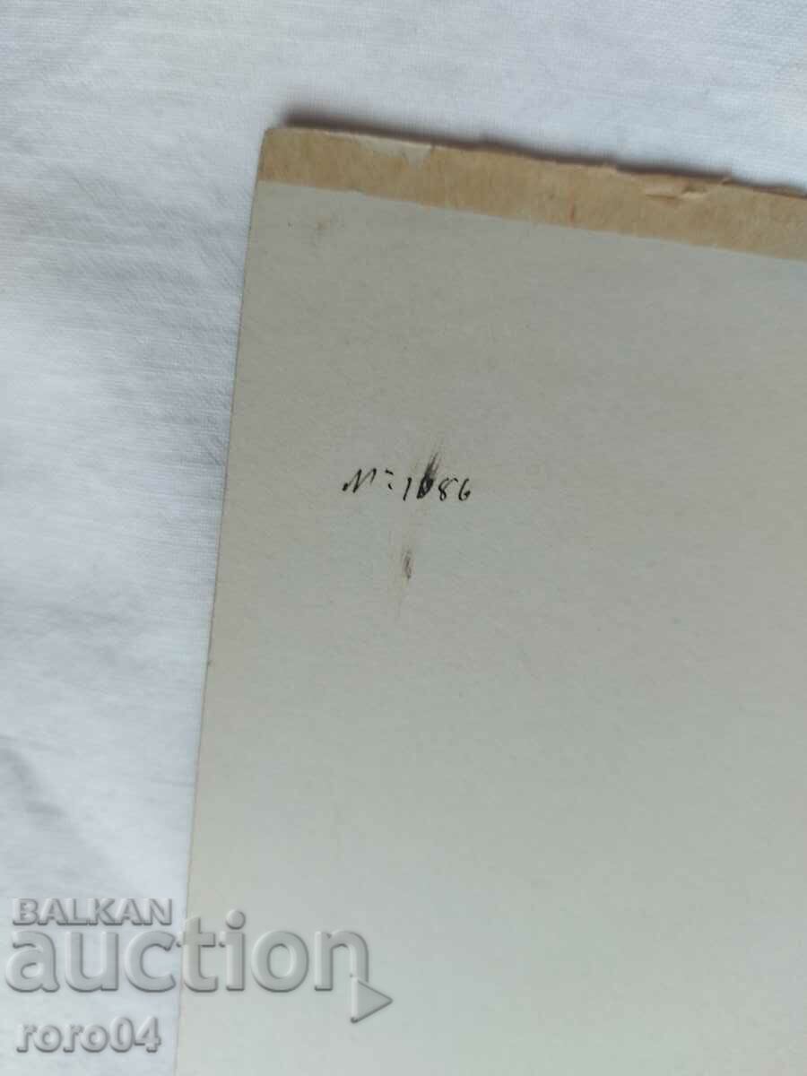 STAR PHOTOGRAPHY - CARD - 5