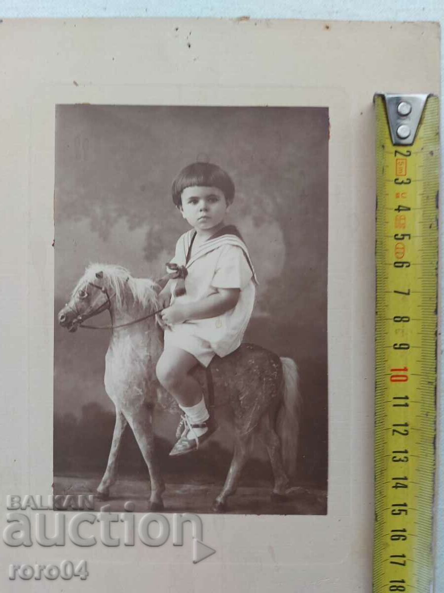 Livrarea FOTO F. GRABNER - SOFIA